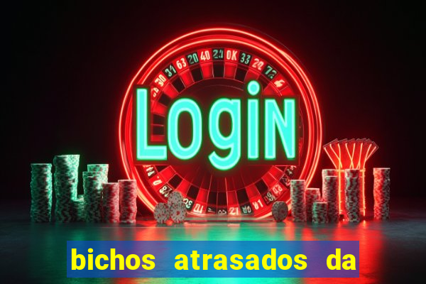 bichos atrasados da loteria federal
